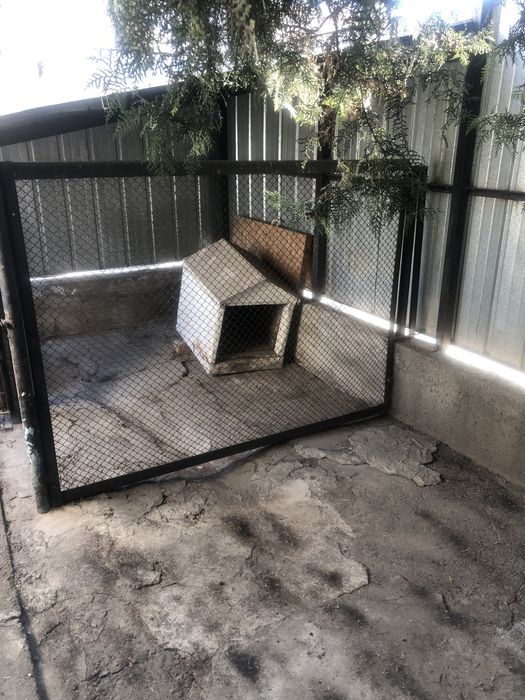 Собачья будка и Вольер для собак