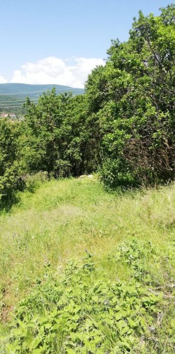 Парцел - 800 м2 в с. Ковачевци