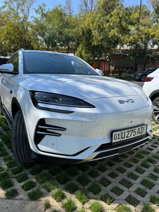 Byd Champion Smart 2025 Yil