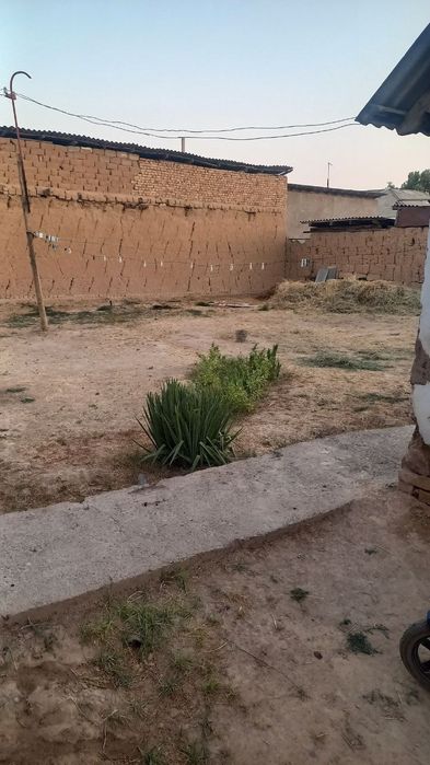 Yet arzonga tezda sotiladi