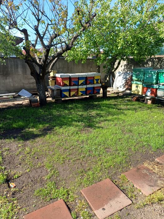 De vânzare, lichidare stupina