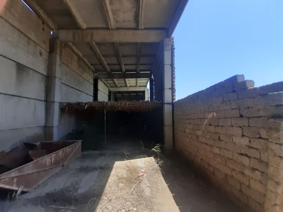 Ферма Тошкент вилояти Чиноз туман