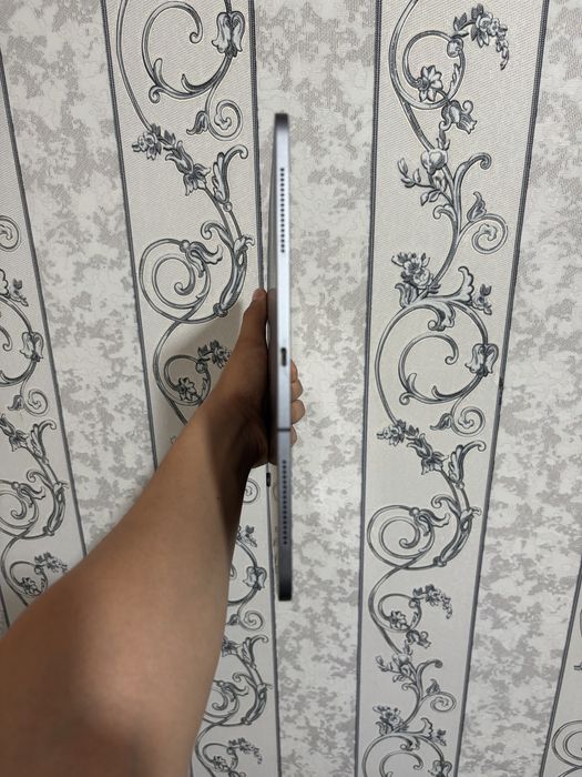 Ipad pro 12.9 256 gb