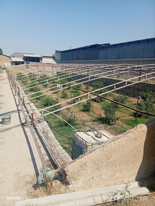 Ўртасаройда теплица 15 сотих сотилади