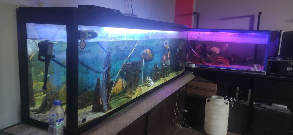 Akvariyum srochna sotiladi