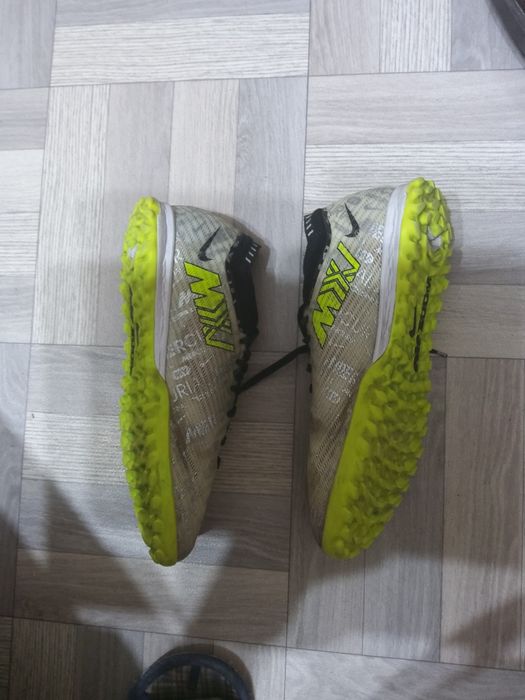 Сороконожки   сороконожки