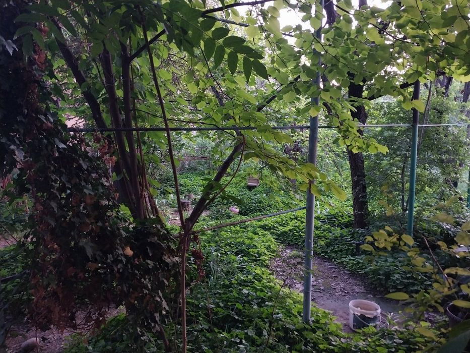 Катта ховли жой яшашга.клиника еки гостиница куриш учун