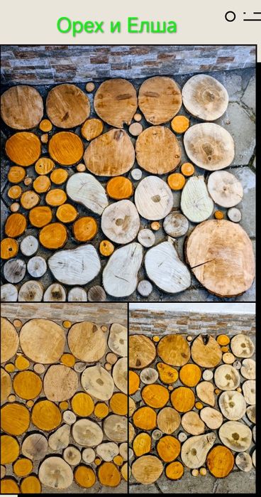 Дървени шайби Дъб,Елша,Бреза,Габер,Бор,Орех,Върба,Леска от 1 лв