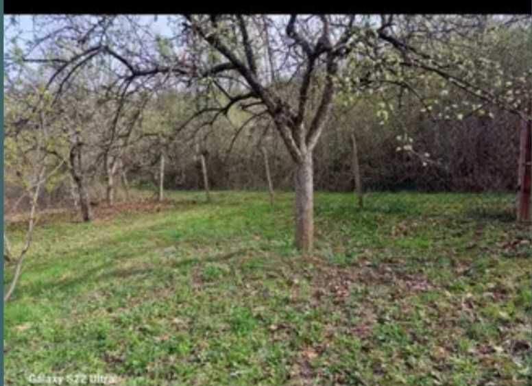 Продава се Парцел в Кюстендил, Румена войвода - 600 кв.м за 31 €/кв.м - Снимка #4