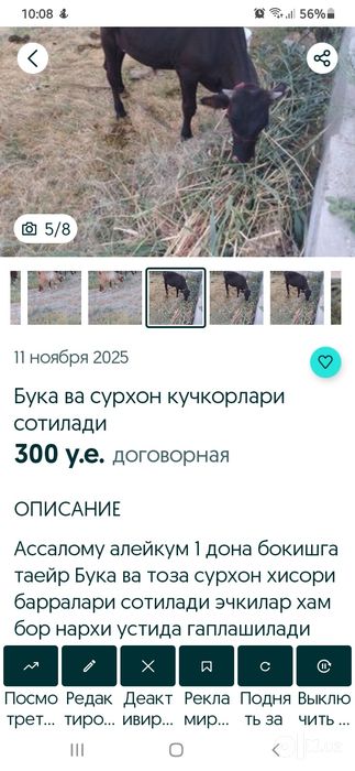 Ассалому алейкум 1 дона Бука сотилади манзил Бухоро