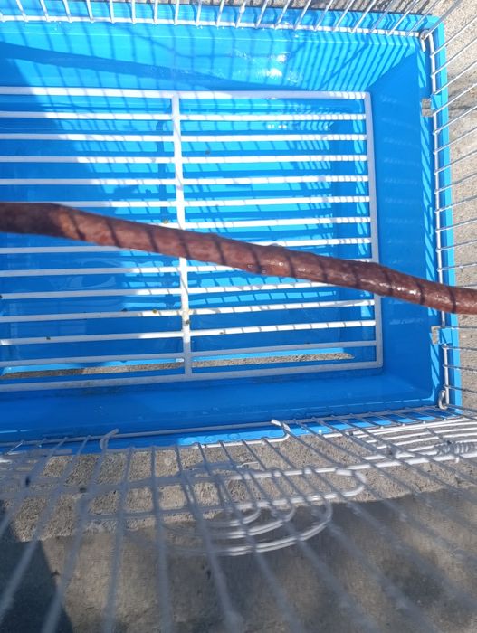 Продам клетку состояние нормальное