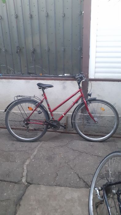 Bicicleta de dama