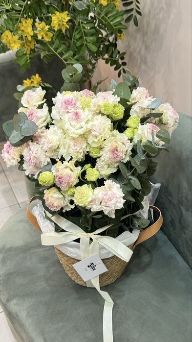 Свежие , красивые цветы Астана