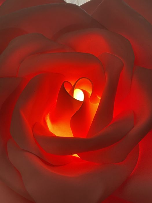 светильник розы