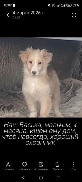 Мальчик, зовут Баська