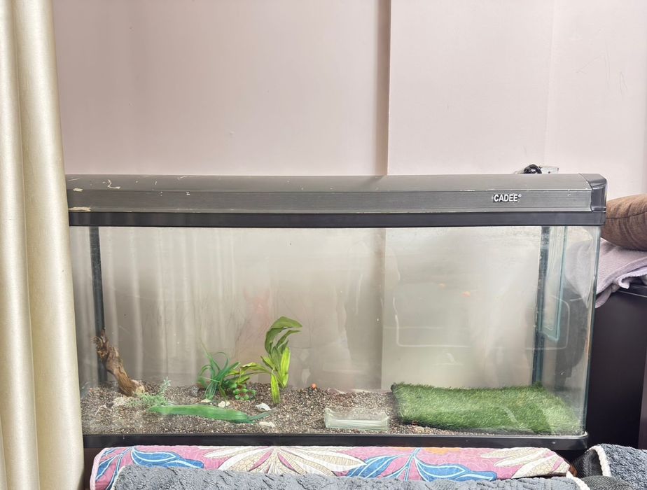 Продам аквариум бу