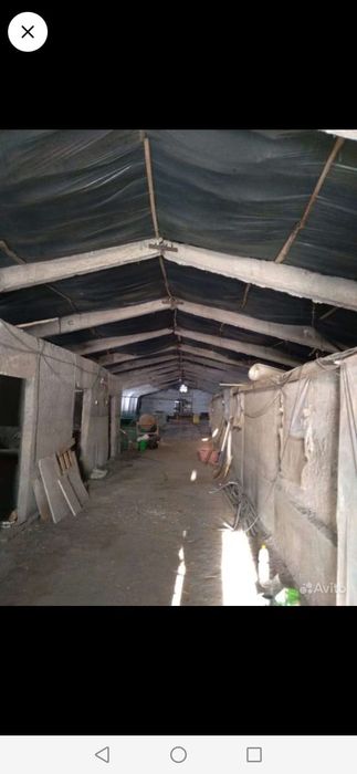 Продам базу под животноводство