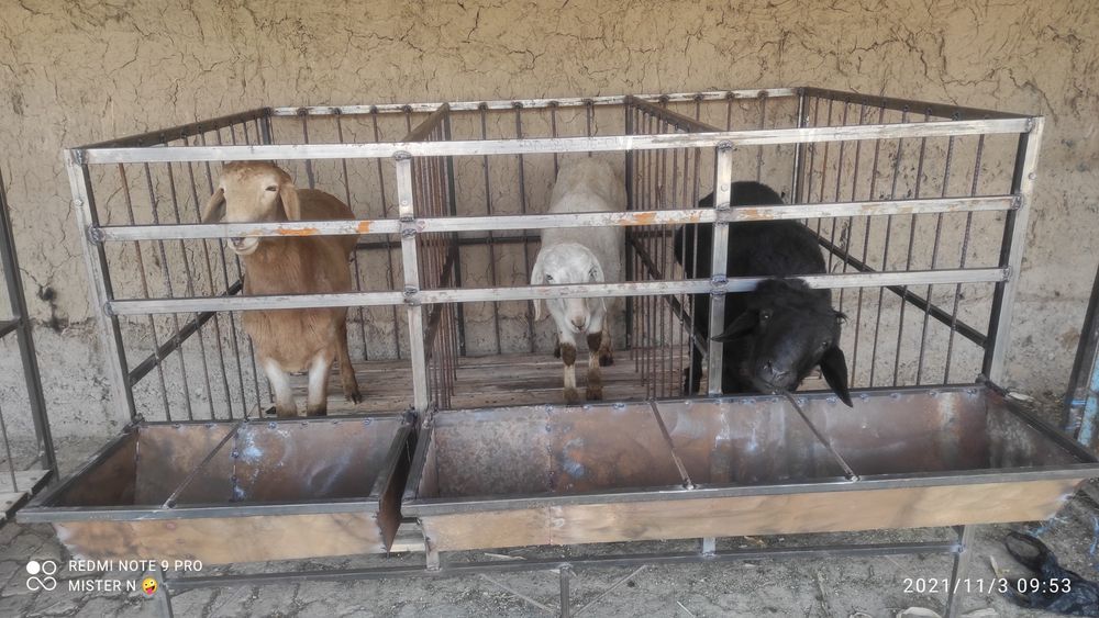 Куйхона. Клетка. Ажралиб йегилади. Болт гайкали.