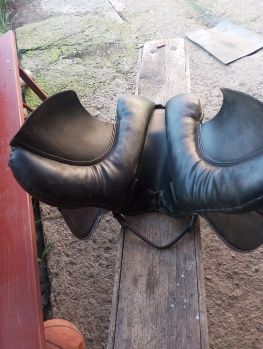 Sașa de călărie adusa recent din Germania