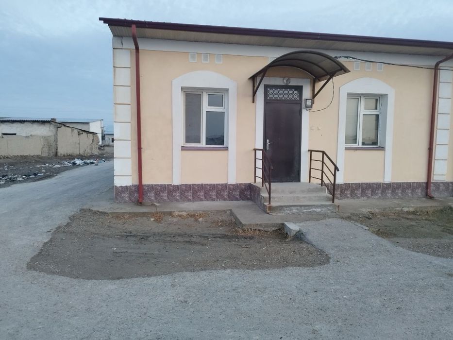 Kotej sotiladi srochno!