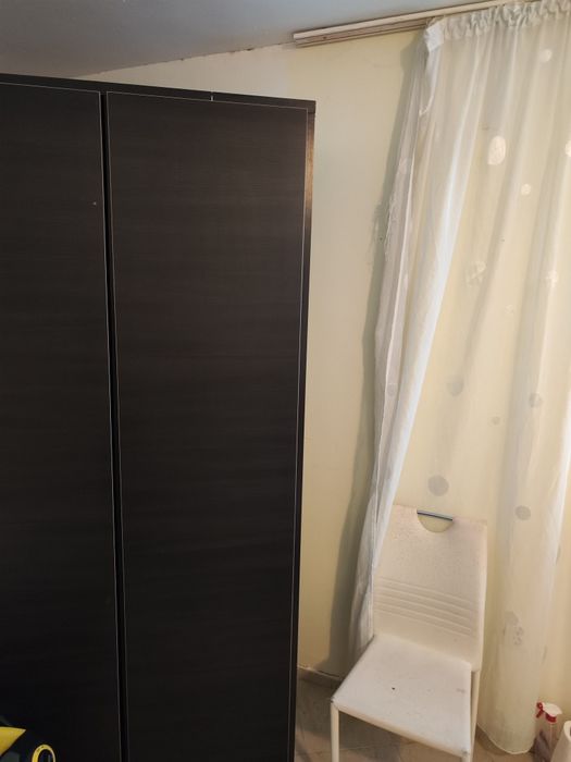 Стая под наем,самостоятелна стая