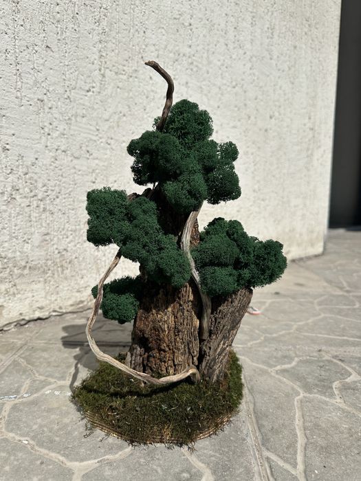 Продам искусственный бонсай