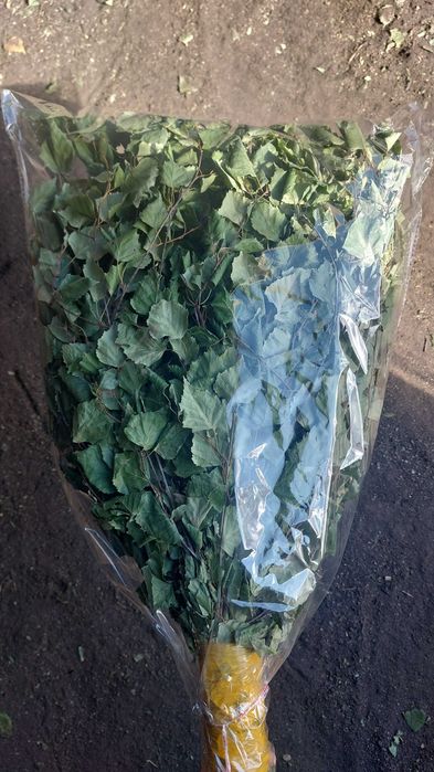 Продам берёзовые веники