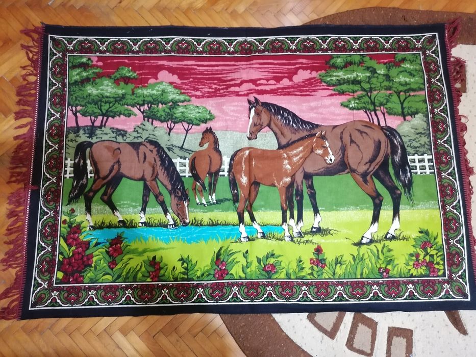 Vând carpete perete