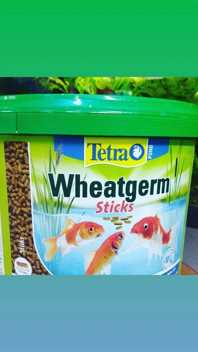 Аквариум.Навои Фрунзе