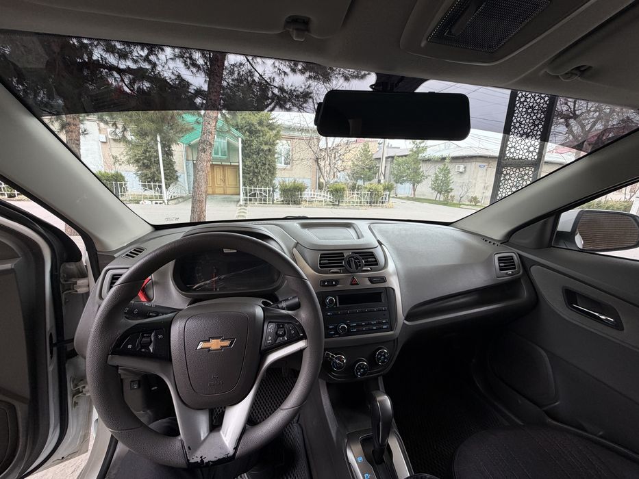 Kobalt 2023 4-Pazitsa