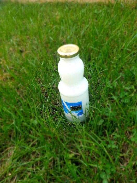 Lapte de măgăriță