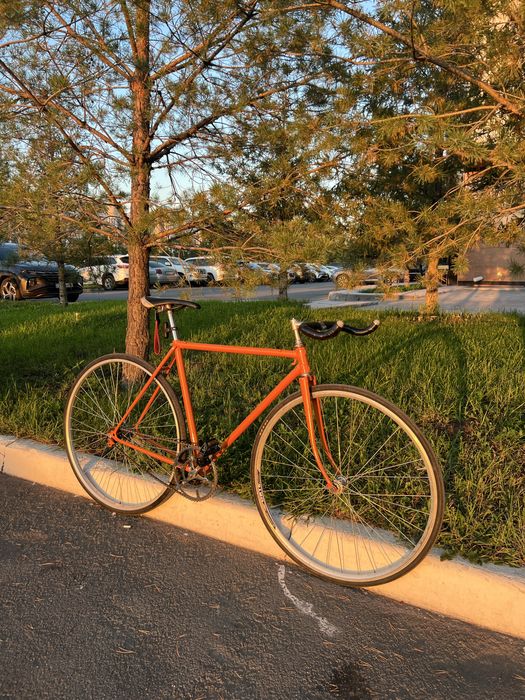 Хвз синглспид