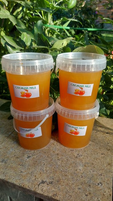 Мед свежий, горное разнотравье из ВКО