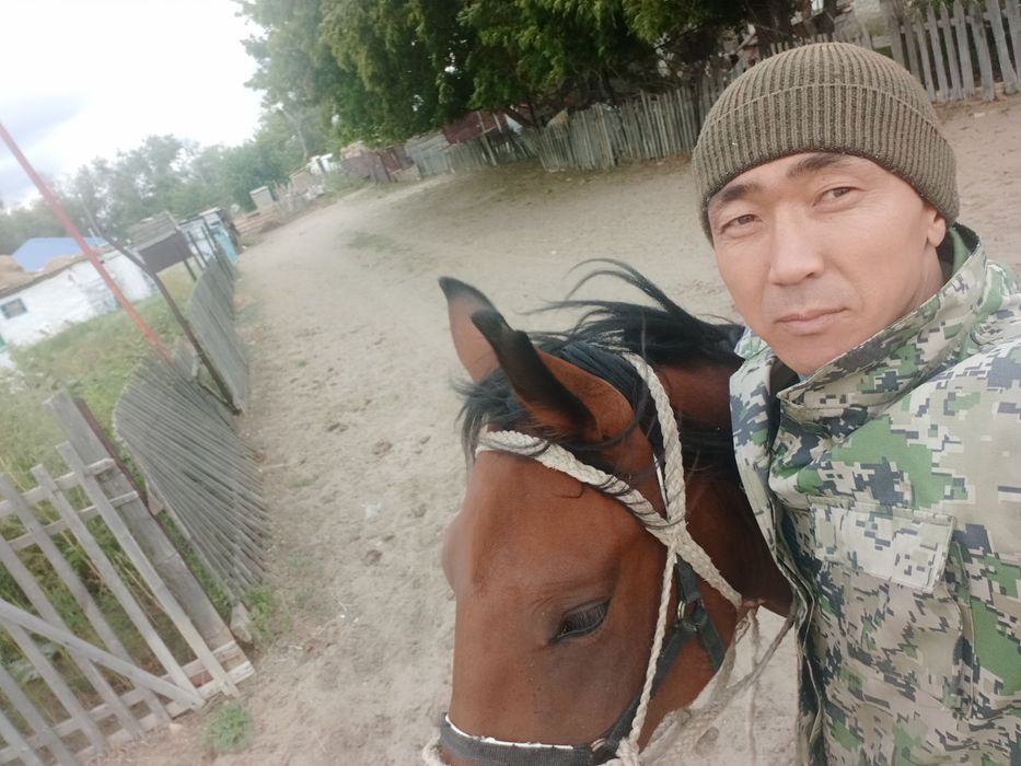Касапшы мал сою. Актобе