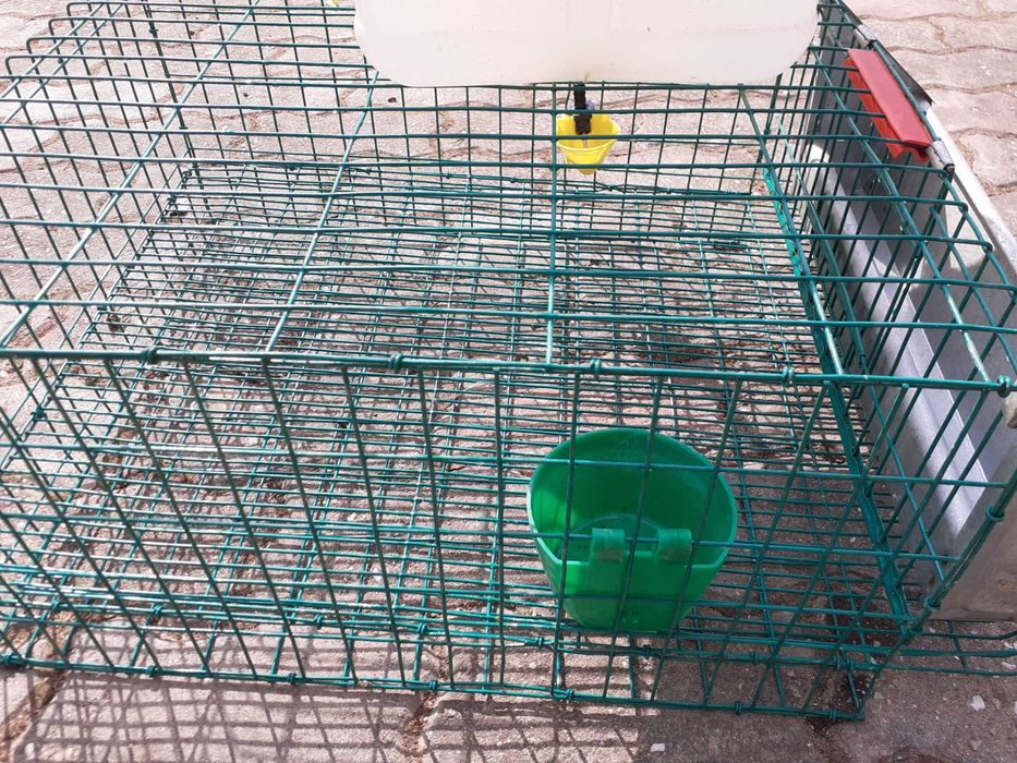 Cusca pentru prepelite completa