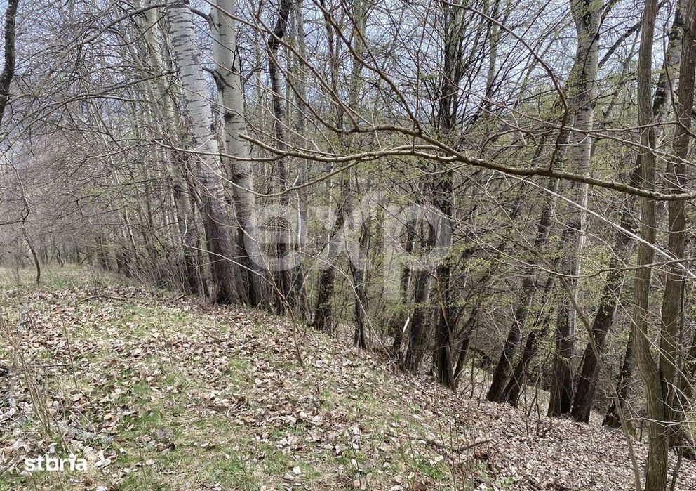 Oportunitate investitie in Corbi, Arges | 22.000 mp teren in zona de