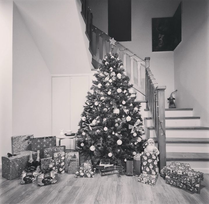 Vand brad Craciun artificial