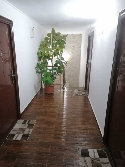 Sezon Estival, vila/pensiune de inchiriat , zona Faleza Nord