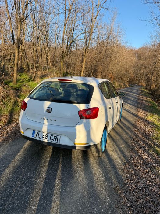 Seat ibiza 2010