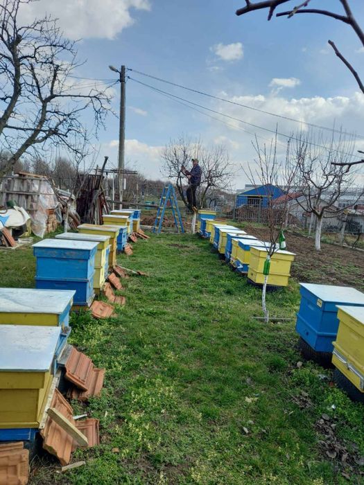 Продавам кошери, бъркалка за сироп и тел за пити