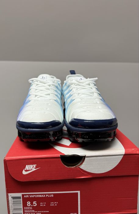 Nike Vapor Max Plus Gradient Blue