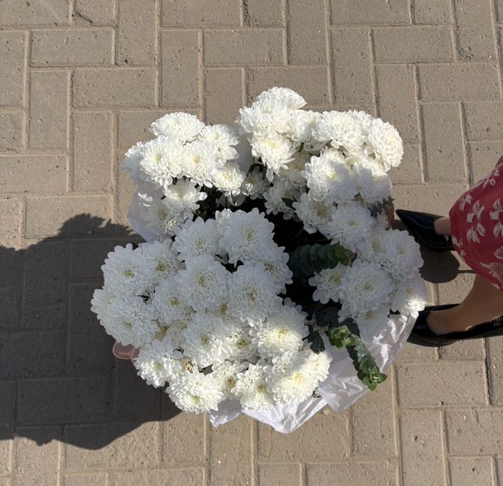 цветы хризантемы свежие