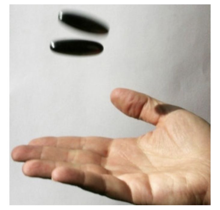 Поющие магниты подарок расспродажа