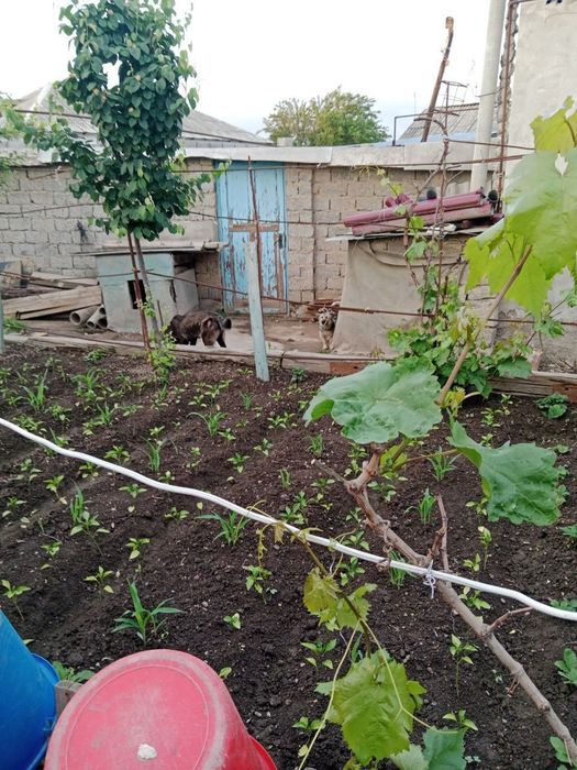 Yer sotiladi.Eski Sergeli.dakumenti bor