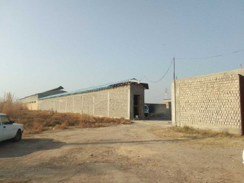 Яангйол тумани М34 йоли 53 сотих ферма сотилади