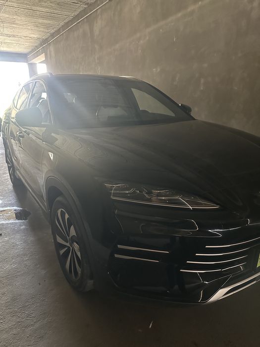 byd chenpion 2024 yil