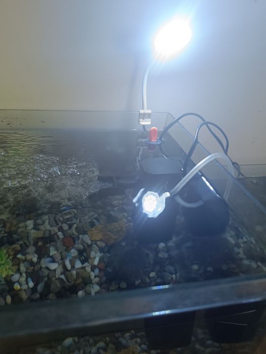 Акварум продаются