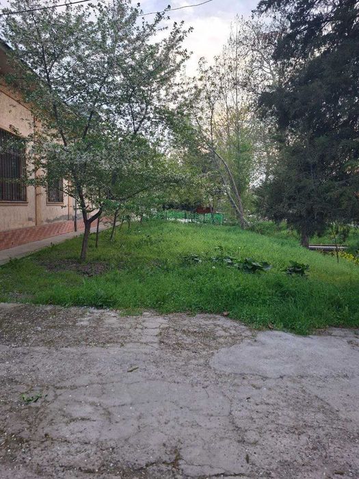 Ер сотилади 9.35 сотик Янги хаёт