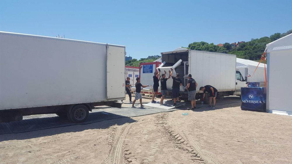 Mutari Profesionale Constanta