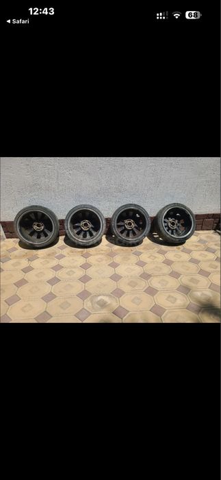 Rays Versus BL-10 Genoma